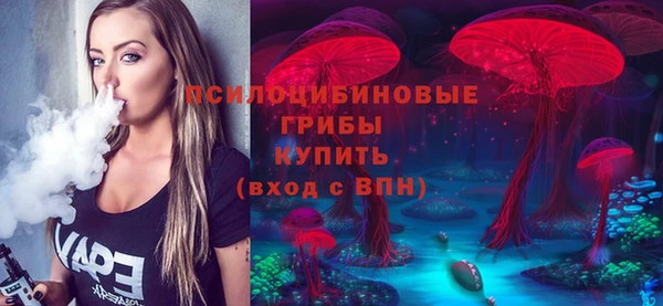 мдпв Нефтегорск