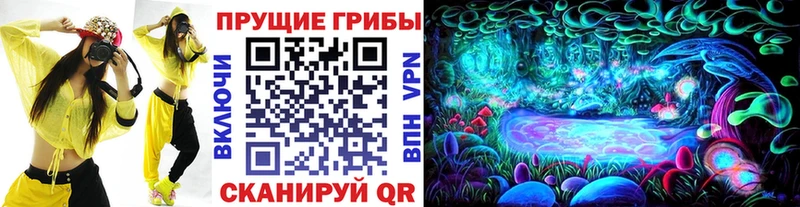 как найти наркотики  Нестеровская  Галлюциногенные грибы ЛСД 