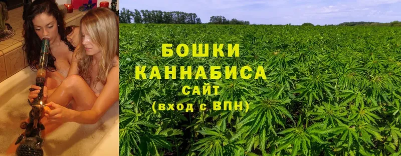 Марихуана THC 21%  Нестеровская 